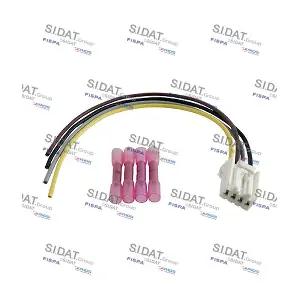 405172 FISPA