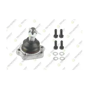 TEKNOROT N554AK