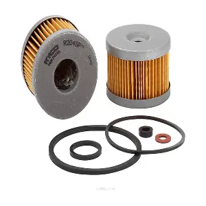 GCG TURBOS AUSTRALIA RY-R2045P