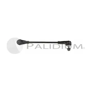 PAL5-2210 ASHUKI by Palidium