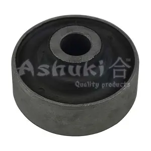1269-6008 ASHUKI by Palidium