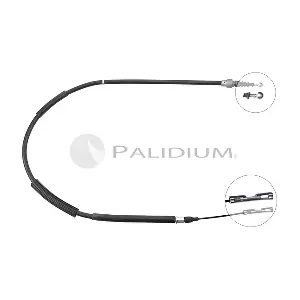 PAL3-1408 ASHUKI by Palidium