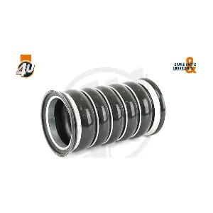 550008 OREX
