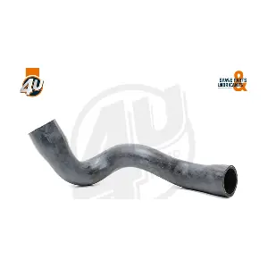 9704 Metalcaucho