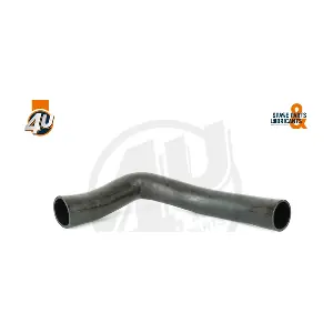 250020 OREX
