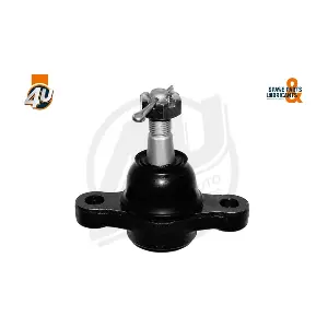 404093 OCAP