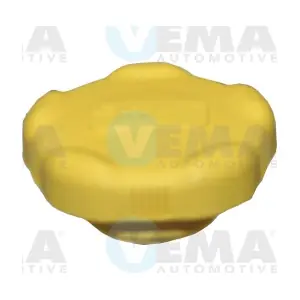 301025 VEMA