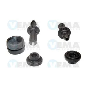 303009 VEMA
