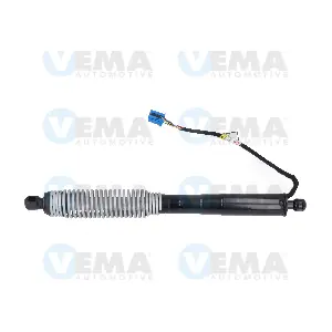 520025 VEMA
