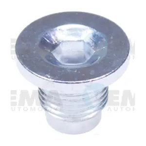 309024 VEMA