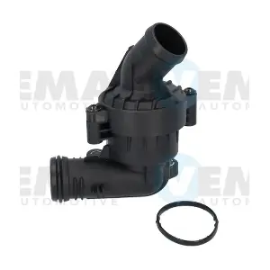 460256 VEMA