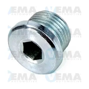 309035 VEMA