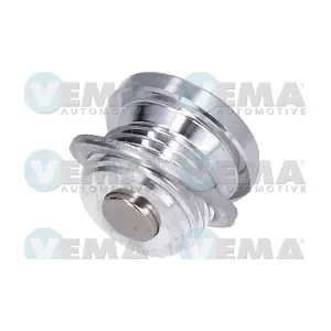309025 VEMA