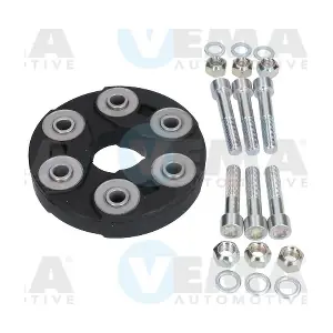 500038 VEMA