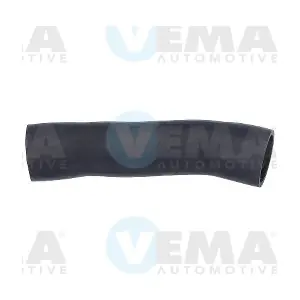 VE55861 VEMA