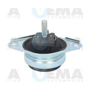 431169 VEMA