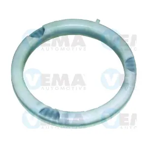 17869 VEMA