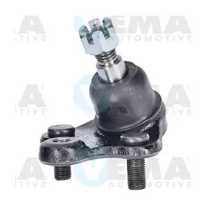 230124 VEMA
