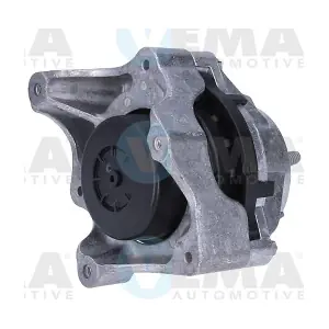 VE57196 VEMA