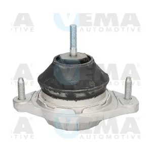 431021 VEMA