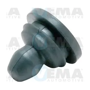303029 VEMA