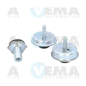 431353 VEMA
