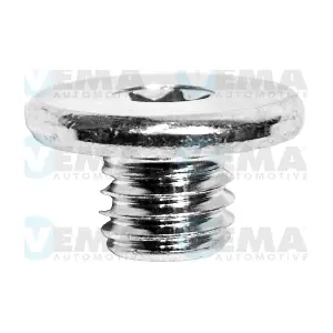 309032 VEMA