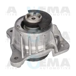 431297 VEMA