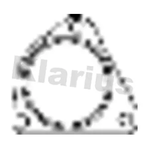 410488 KLARIUS