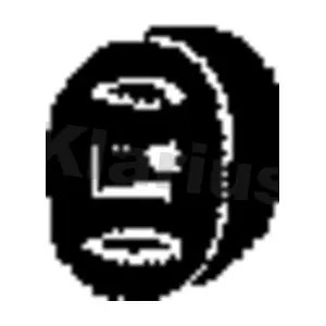 420703 KLARIUS
