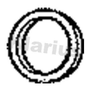 410243 KLARIUS