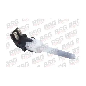 BSG 60-840-016 BSG