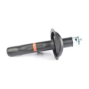 BSG 70-300-004 BSG