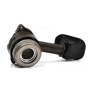 BSG BSG30625006