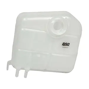 BSG 30-550-017 BSG