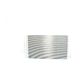 BSG 25-525-004 BSG