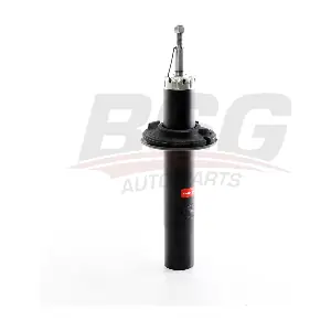 BSG 11-300-001 BSG