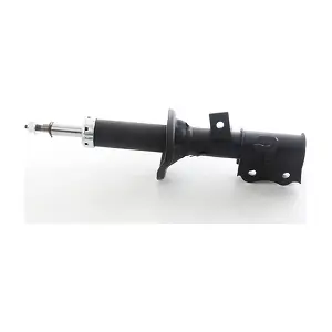 BSG 44-300-019 BSG