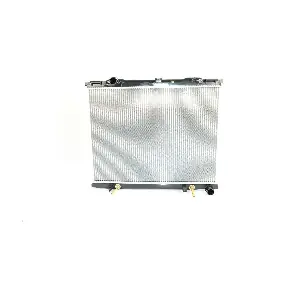 BSG 40-520-055 BSG