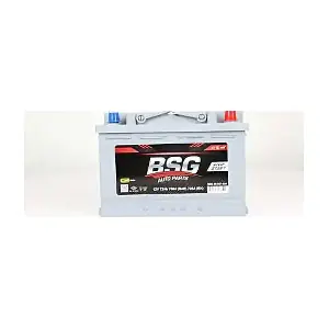 BSG 99-997-020 BSG
