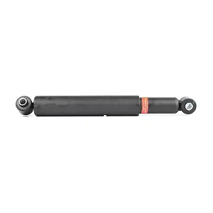 BSG 60-300-011 BSG