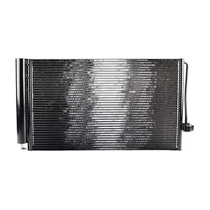 BSG15525006 BSG