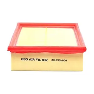 BSG BSG30135004
