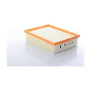 BSG 70-135-038 BSG