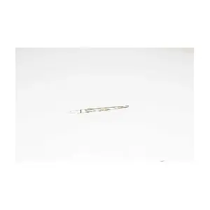 BSG 15-870-004 BSG