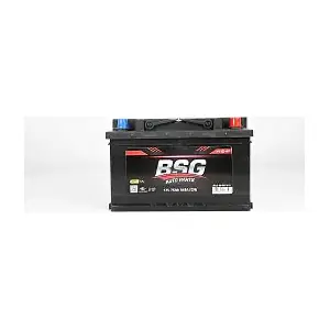 BSG 99-997-011 BSG