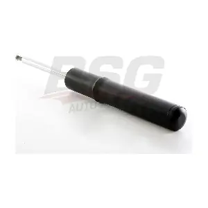 BSG 11-300-002 BSG