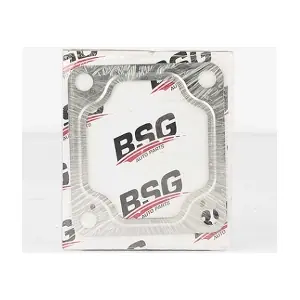 BSG 30-116-025 BSG