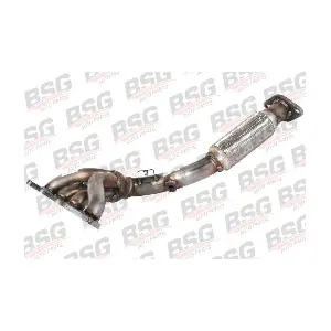 BSG 30-165-006 BSG