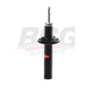 BSG 11-300-003 BSG